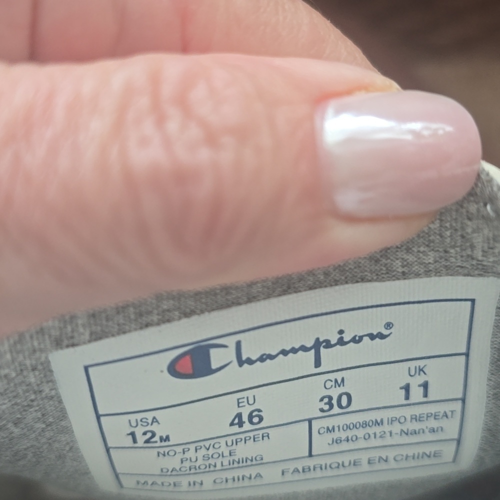 Champion Slides - Picture 5 of 5
